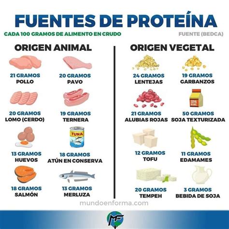 Tabla comparativa visual de fuentes de proteína.