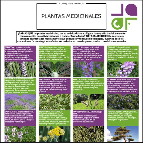 Infografía de las 6 flores preciosas y sus beneficios para el cabello