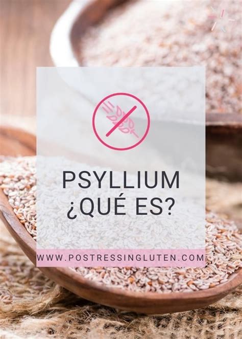 Infografía detallando la composición de la cáscara de psyllium y su estructura molecular