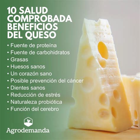 Infografía: Componentes nutricionales principales del queso Brie (proteínas, grasas, vitaminas, minerales)