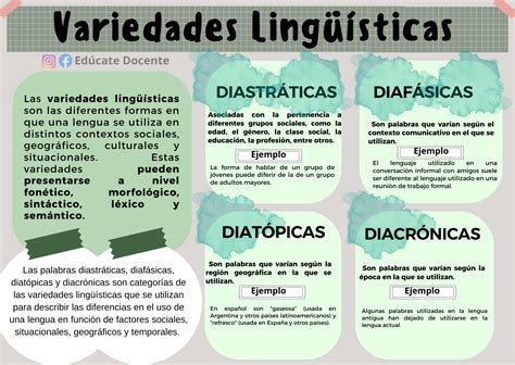 Infografía o collage mostrando las diferentes variedades de ciboulette