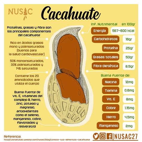 Infografía mostrando los minerales que aportan los cacahuates y sus beneficios para el cuerpo.