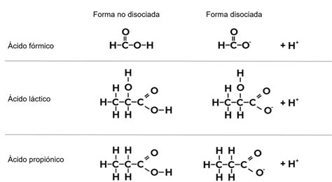 Tabla comparativa de propiedades físico-químicas de ácidos orgánicos como ácido fórmico, láctico y propiónico (pKa, peso molecular, LogP Kow).