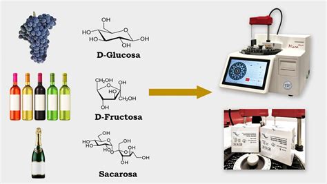 Esquema simplificado mostrando los métodos de concentración de azúcar en la uva para vinos dulces: Vendimia Tardía, Botrytis, Pasificación, Crioextracción.
