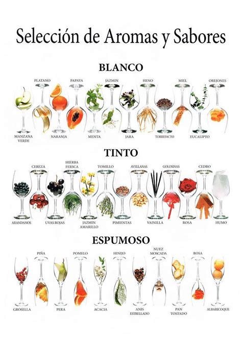 Infografía comparativa de aromas y sabores comunes de las uvas Chardonnay, Riesling y Sauvignon Blanc.