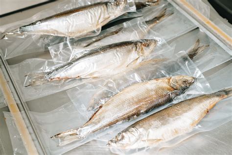 Varias opciones de envasado de filetes de pescado para congelar (bolsas al vacío, tápers, film)