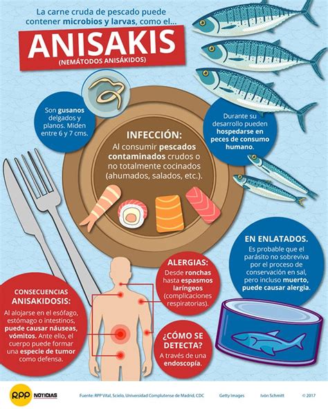 Infografía sobre el anisakis y su prevención mediante congelación