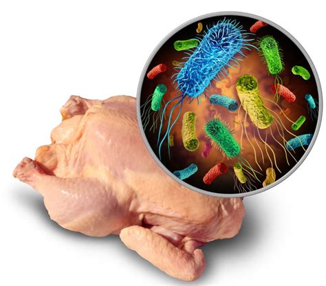 Gráfico ilustrando los riesgos microbiológicos del pescado crudo