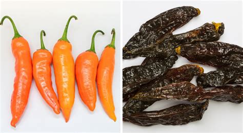 Infografía comparativa de ají amarillo y ají panca frescos y en pasta