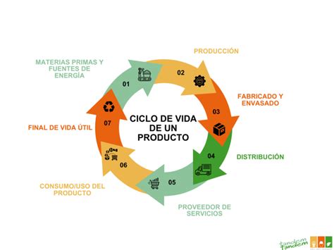 Esquema de ciclo de vida de una bandeja de cartón desde la materia prima hasta el compostaje