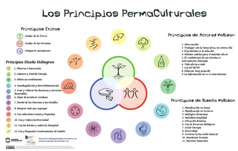 Diagrama de los principios de la permacultura aplicados en un entorno rural