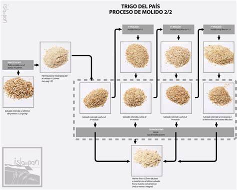 infografía del proceso de refinado de la harina de trigo para pan blanco