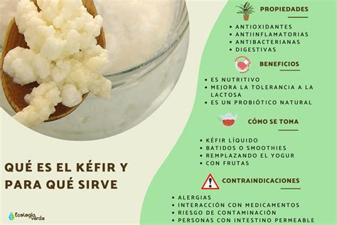 Esquema que muestra los granos de kéfir, la leche y el proceso de fermentación para obtener kéfir casero.