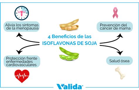 infografía sobre beneficios de la soja y sus isoflavonas