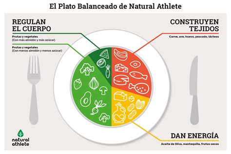 Esquema de plato balanceado con alimentos vegetales para bebés