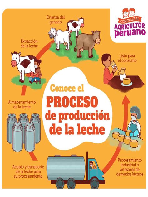 Infografía del proceso productivo: desde la salazón y sugnatura hasta la maduración mínima de 12 meses.