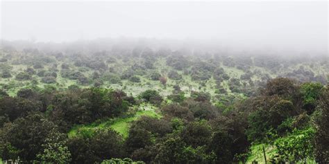 Paisaje rural de las quebradas en la zona de Quillota, Chile