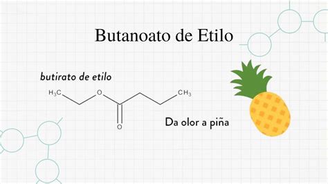 Estructura química del butirato de etilo, mostrando el grupo éster y las cadenas de carbono.