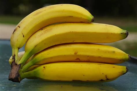 Plátanos maduros listos para ser utilizados en la receta.