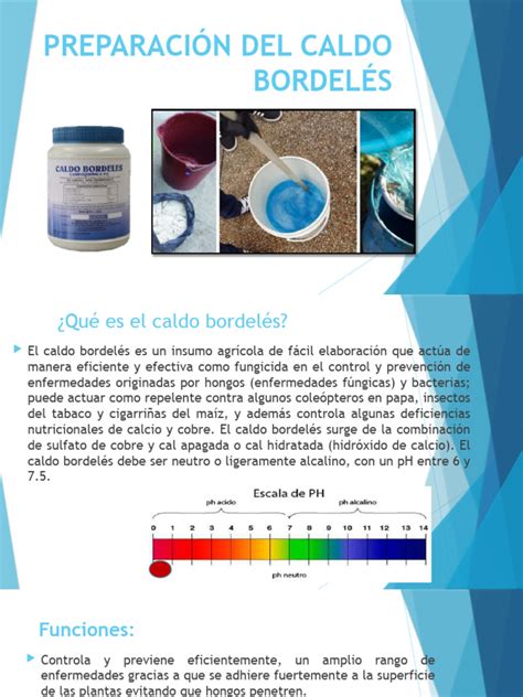 Esquema de la composición y origen del Caldo Bordelés