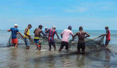 Foto de una comunidad de pescadores artesanales o de centros de cultivo de choritos.