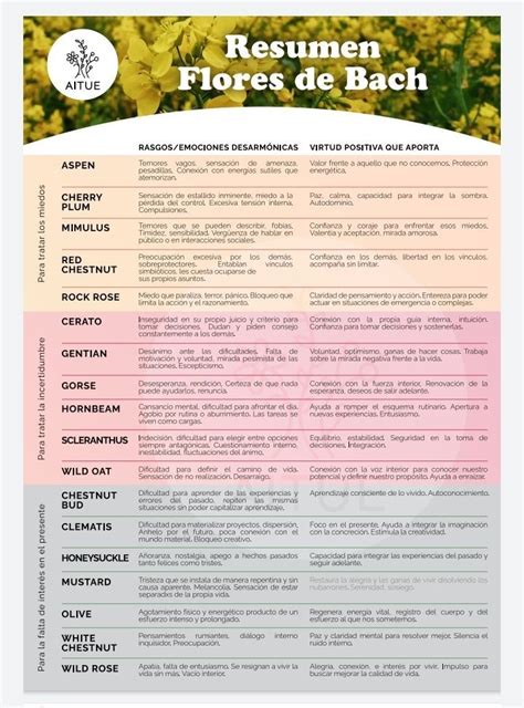 Infografía: Dr. Edward Bach y el sistema floral