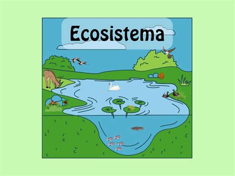 Esquema que muestra la interacción entre el ecosistema terrestre, el humedal y el sistema marino, destacando el flujo de agua dulce y salada.