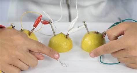Foto de varios limones conectados en serie con cables y electrodos