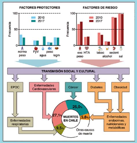 Gráfico mostrando la reducción de riesgo de enfermedades crónicas con el consumo regular de semillas.
