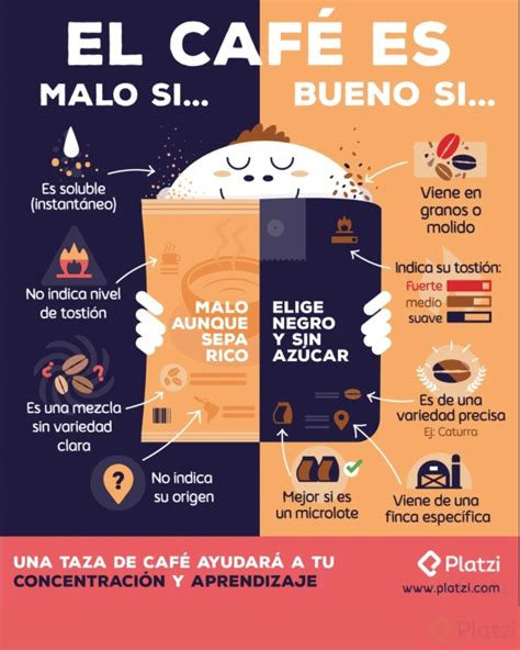 Infografía: Qué es la