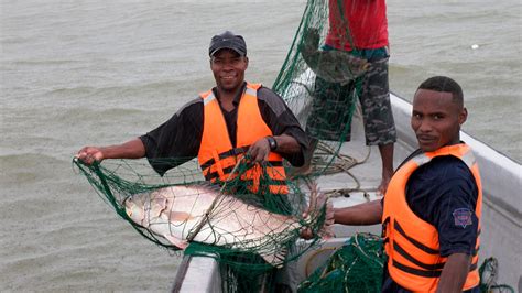 Pescadores artesanales recibiendo capacitación para añadir valor a sus productos del mar