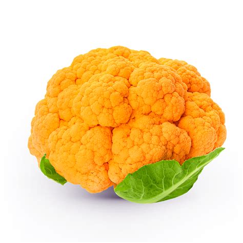 Infografía comparativa de diferentes variedades de coliflor: blanca, naranja, morada y romanesco