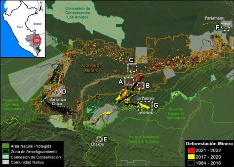 Mapa de zonas afectadas por la deforestación de palma aceitera