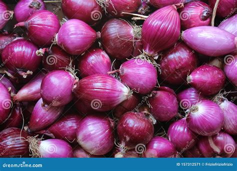 Cebollas rojas de Tropea atadas en trenzas, listas para la venta.