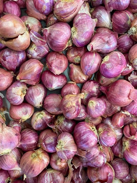 Selección de cebollas moradas frescas de distintos tamaños en un mercado local.