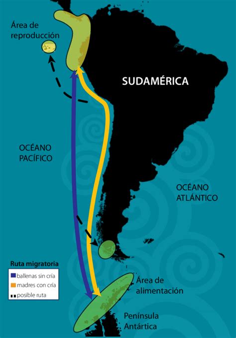 Mapa mostrando la ruta de distribución histórica de la acelga desde el Mediterráneo
