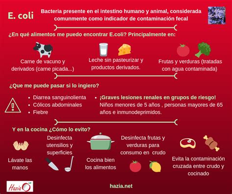 Esquema de contaminación por E. coli en alimentos