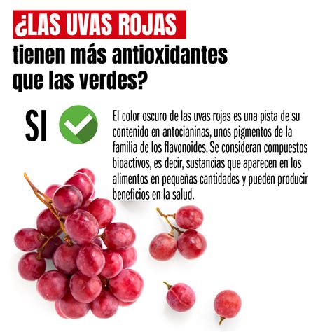 Infografía sobre los beneficios antioxidantes de las uvas