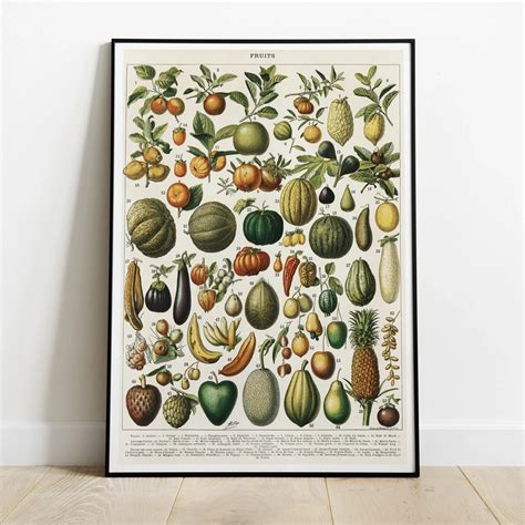 Composición de varios pósters de frutas y verduras con diferentes estilos artísticos