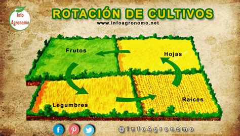 Esquema de rotación de cultivos anual en un huerto con diferentes parcelas