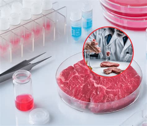 Ilustración conceptual de carne cultivada en laboratorio o alimentos creados por IA.