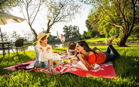 Infografía de las atracciones y áreas de picnic de William Land Park.