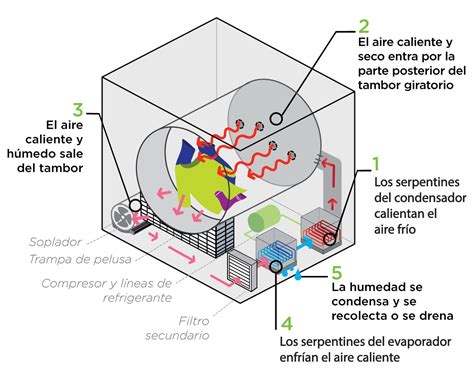 Diagrama de las partes clave de una secadora de tambor rotatorio