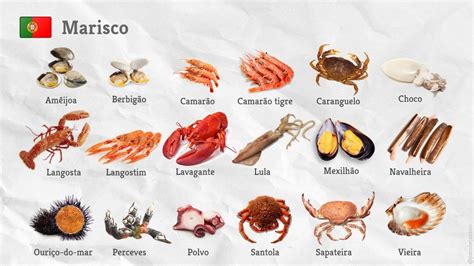 Infografía de diferentes tipos de mariscos populares