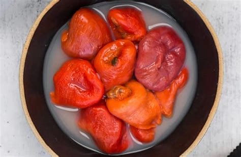 Plato de piures y picorocos frescos en Chile