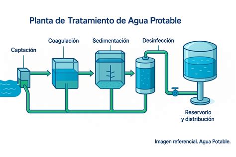 Esquema del sistema de tratamiento de agua en un centro RAS (eliminación de partículas, biofiltro, eliminación de CO2)
