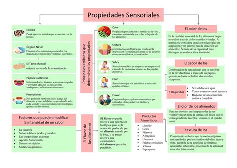 Esquema de los diferentes perfiles sensoriales de los alimentos y cómo influyen en la percepción del gusto.