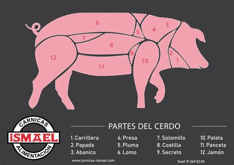 Ilustración detallada de las partes del solomillo de cerdo: cabeza, rosario, centro y punta