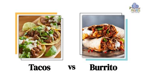 Infografía comparando visualmente las formas y los tamaños de tacos, burritos, fajitas y quesadillas.