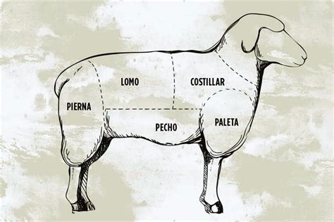 Esquema de las partes del cordero destacando las chuletas ideales para asar